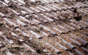 Footrid roof cleaning companies